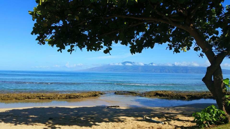 Lahaina Wonderful Condos Eksteriør billede